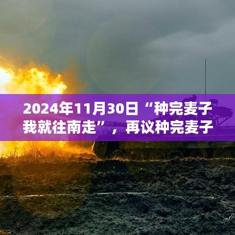 种完麦子就南迁，迁徙与留守的权衡抉择在2024年11月30日再度引热议