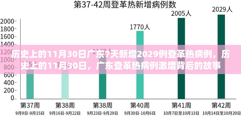 广东登革热病例激增背后的故事，历史上的11月30日新增2029例病例揭秘