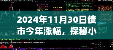 揭秘债市涨幅背后的故事，探秘宝藏小店与独特体验之旅（2024年11月30日债市回顾）