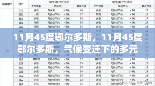 气候变迁下的多元视角解读，11月45度下的鄂尔多斯