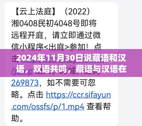 藏语与汉语的双语共鸣，时光交汇处的融合与传承（2024年11月30日回顾）