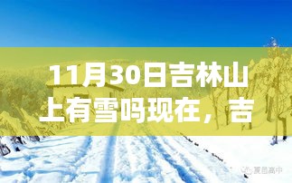 吉林山上雪情探秘，揭秘11月30日的雪迹与雪情解析