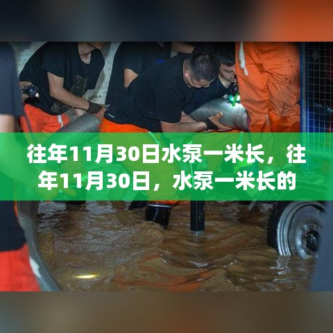 探索往年11月30日一米长水泵的特殊意义与应用价值