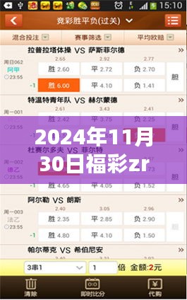 2024年11月30日福彩ZR攻略大全，初学者与进阶玩家的必胜指南