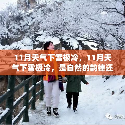 11月极寒天气下的雪，自然的韵律还是气候变迁的暗示？