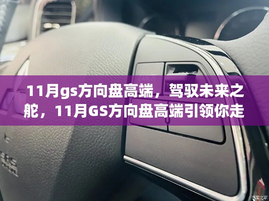 11月GS方向盘高端，驾驭未来之舵，引领自信成就之路