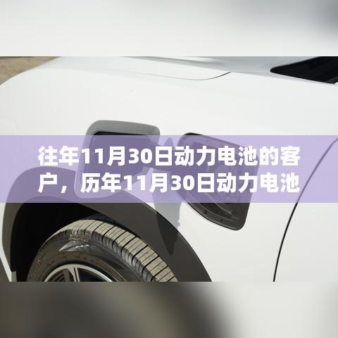 历年11月30日动力电池客户深度解析与评测报告