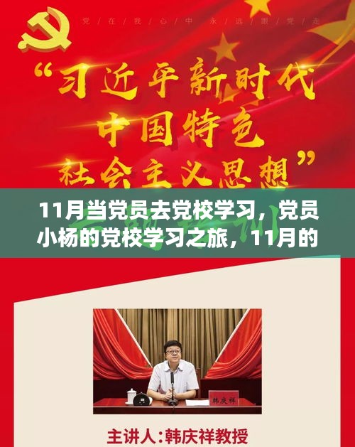 党员小杨的党校学习之旅，11月的同窗时光