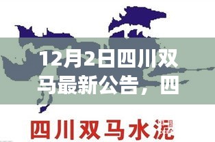 四川双马最新公告解读，多方观点碰撞与个人立场阐述