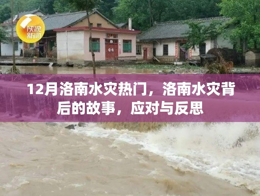 洛南水灾背后的故事，应对与反思，揭秘背后的真相