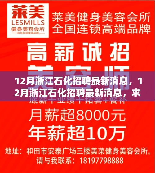 12月浙江石化招聘最新消息及求职全攻略，掌握应聘技能与步骤