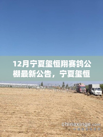 宁夏玺恒翔赛鸽公棚最新公告，变化中的学习助力梦想成就，自信启航！