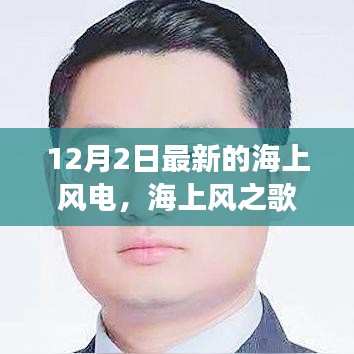 海上风之歌，梦想与友情的交织故事