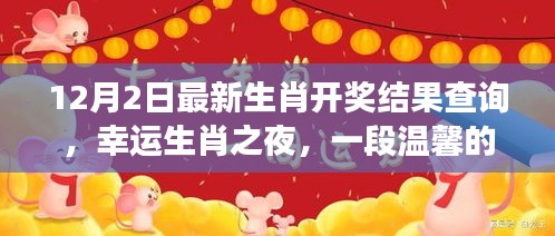 幸运生肖之夜，12月2日最新开奖结果及温馨故事