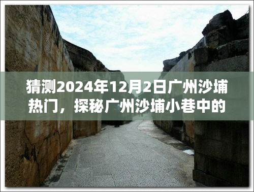 探秘广州沙埔隐藏瑰宝，2024年12月2日热门小店的风情猜想