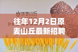 麦山丘温暖招聘日，友情、梦想与家的甜蜜邂逅，最新招聘信息揭晓