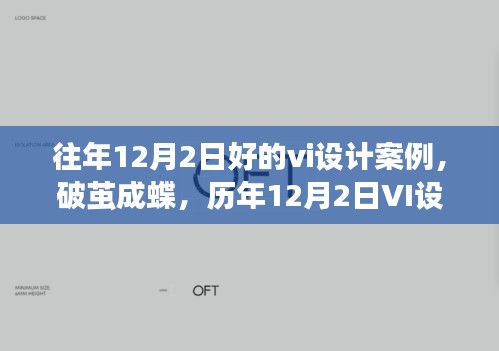 历年12月2日VI设计案例启示下的自信蜕变之旅，破茧成蝶的自信之旅