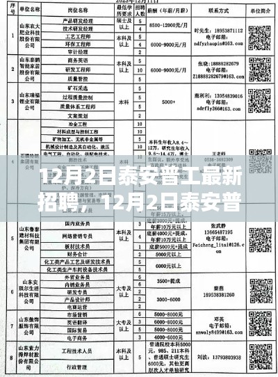 泰安普工最新招聘全面测评与介绍，12月2日招聘信息速递