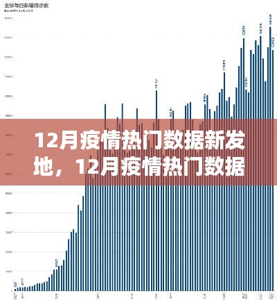 12月疫情热门数据新发地深度评测与介绍