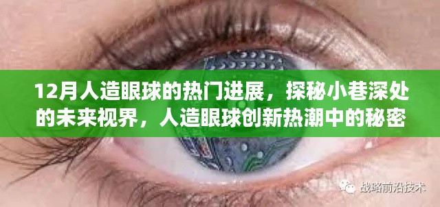 探秘未来视界，人造眼球创新热潮与秘密进展揭秘