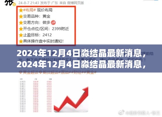 2024年淼结晶最新动态及技术应用指南，初学者与进阶用户必读