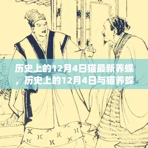 历史上的12月4日，猫与养蝶的交织的独特观点阐述