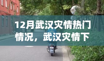 武汉灾情下的科技新星，智能救援先锋产品深度解析与热门情况解析