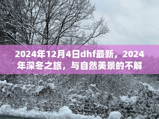 深冬之旅，与自然美景的不解之缘，记录我在2024年DHF的最新体验