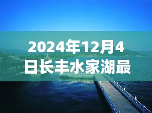 长丰水家湖最新房价揭秘，美好家园的探寻与时光延续的新篇章（2024年12月4日）