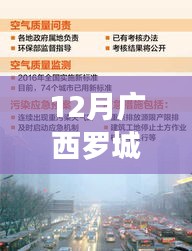 12月广西罗城最新新闻，探秘广西罗城，最新12月新闻热点一网打尽