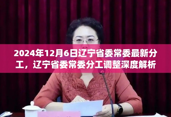 辽宁省委常委分工调整深度解析，最新动态与前景展望（2024年12月6日版）