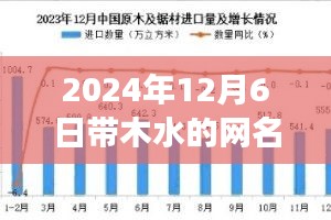 木水奇缘，2024年12月6日网络温馨奇遇记