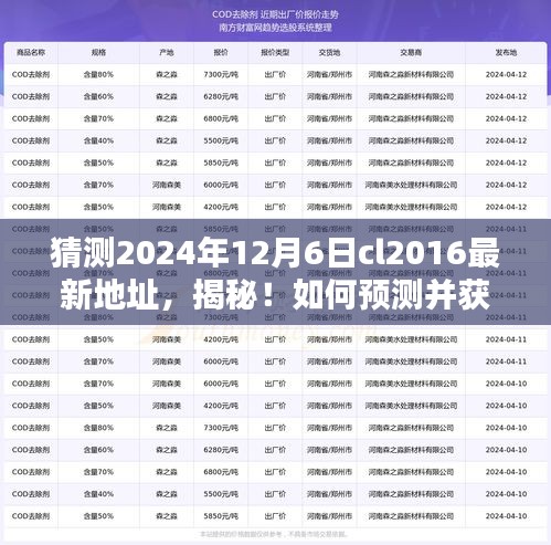 揭秘CL2016最新地址预测与获取指南，针对初学者与进阶用户的指南（预测至2024年12月6日）