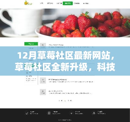 草莓社区全新升级，科技引领草莓生活新纪元，12月最新网站上线