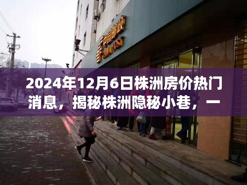 揭秘株洲隐秘小巷特色小店背后的故事与房价热议——株洲房价最新动态