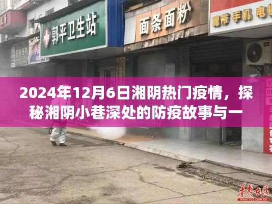 湘阴小巷深处的防疫故事与独特小店的抗疫历程，2024年疫情观察