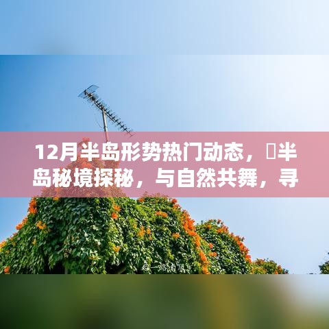 12月半岛形势热点及秘境探秘，与自然共舞，寻觅内心宁静港湾