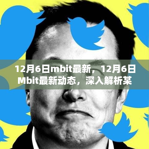 深度解读，最新动态下的观点解析——12月6日Mbit最新资讯