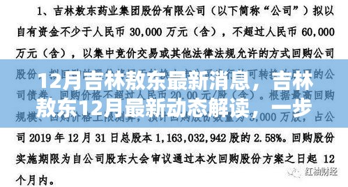 吉林敖东十二月最新动态解读，掌握关键消息一览