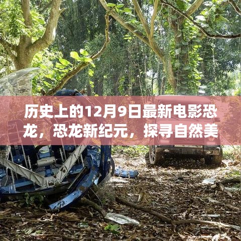 恐龙新纪元，探寻自然美景之旅唤醒内心力量