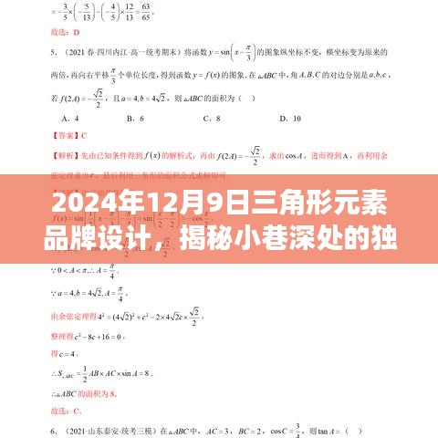 2024年12月9日三角形元素品牌设计，揭秘小巷深处的独特魅力，三角形元素品牌设计之旅