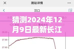 2024年12月9日长江武汉汛情预测及新动态分析