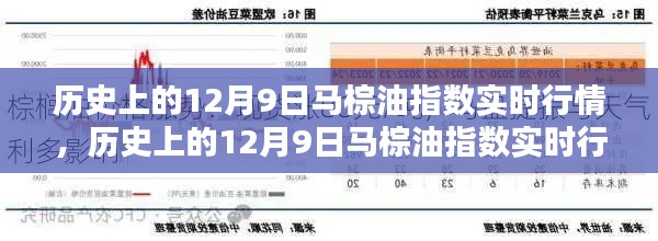 历史上的马棕油指数实时行情深度解析与观点阐述，聚焦12月9日数据动态分析。