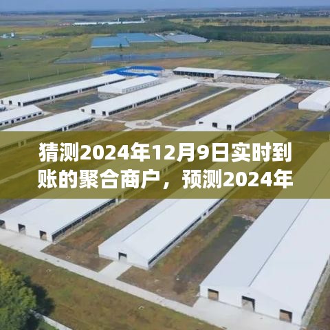 2024年聚合商户实时到账趋势展望，技术革新与商业生态的融合发展