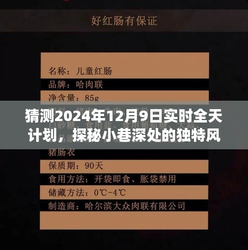 探秘小巷深处的独特风味，揭秘2024年12月9日全天畅游计划