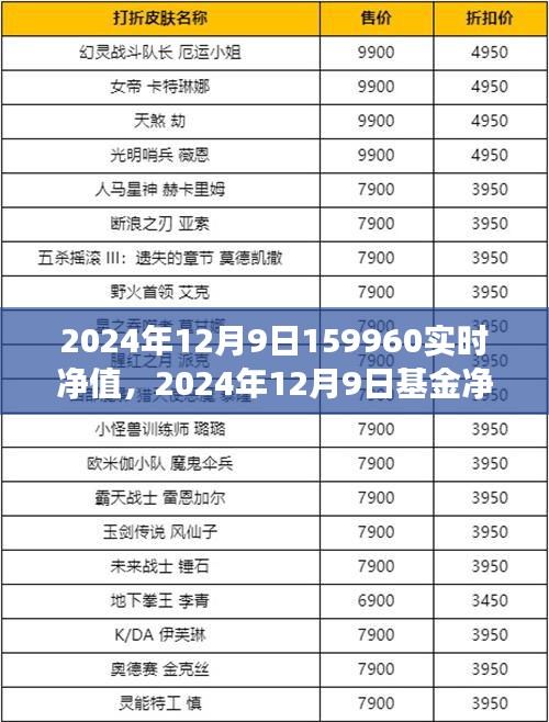 2024年12月9日基金净值展望，机遇与挑战下的实时净值分析