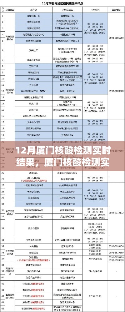 12月厦门核酸检测实时结果最新指南，揭秘与最新动态