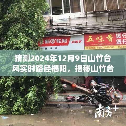 揭秘山竹台风路径预测，如何准确猜测山竹台风在揭阳的走向（初学者与进阶指南）