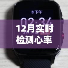 12月实时检测心率仪器使用指南，从入门到精通