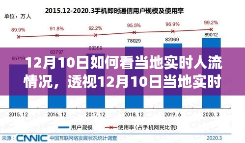 透视多维视角下的12月10日当地实时人流动态与观察分析